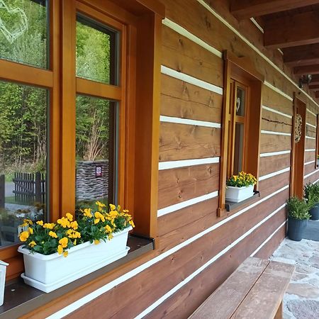Apartmany U Vlcich Jam Petrowitz 외부 사진
