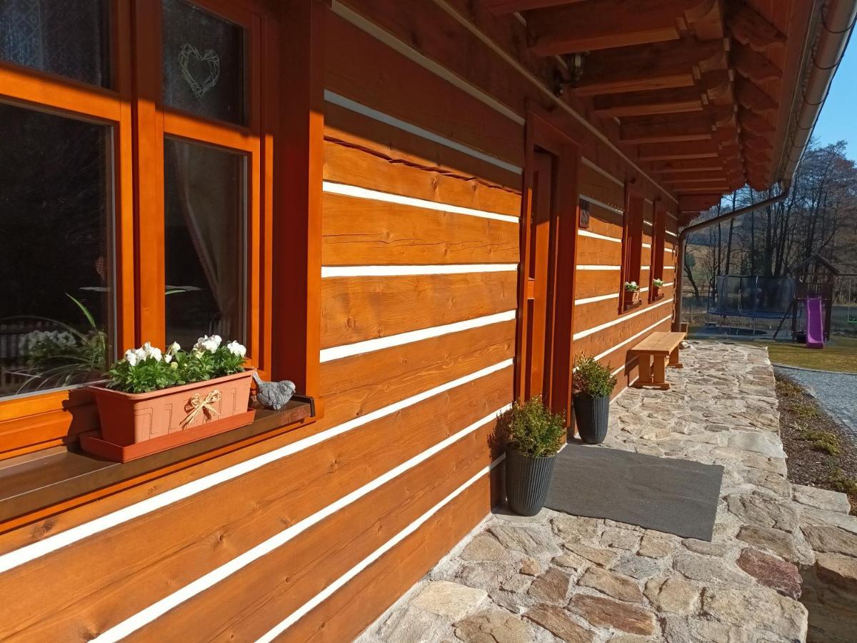 Apartmany U Vlcich Jam Petrowitz 외부 사진